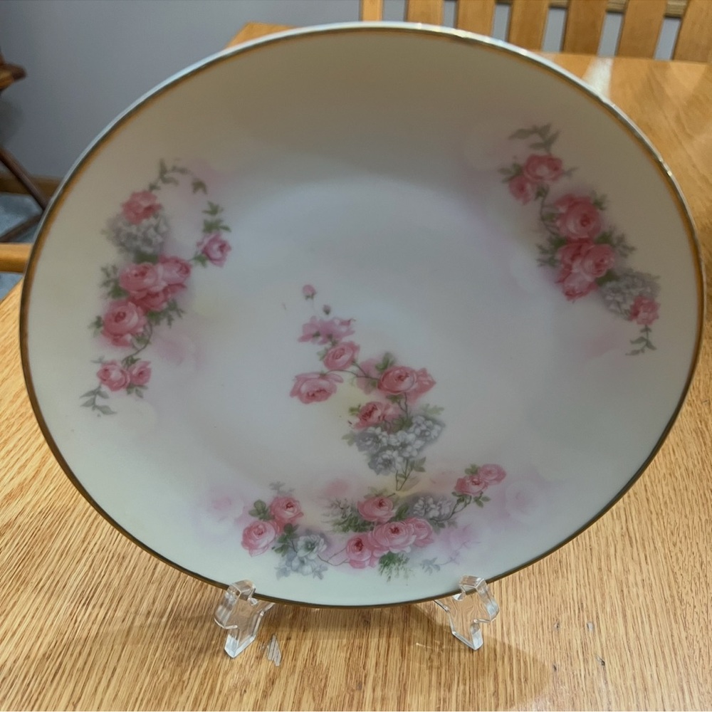 Royal Rudolstadt porcelain plate with hand-painted roses and gold trim.